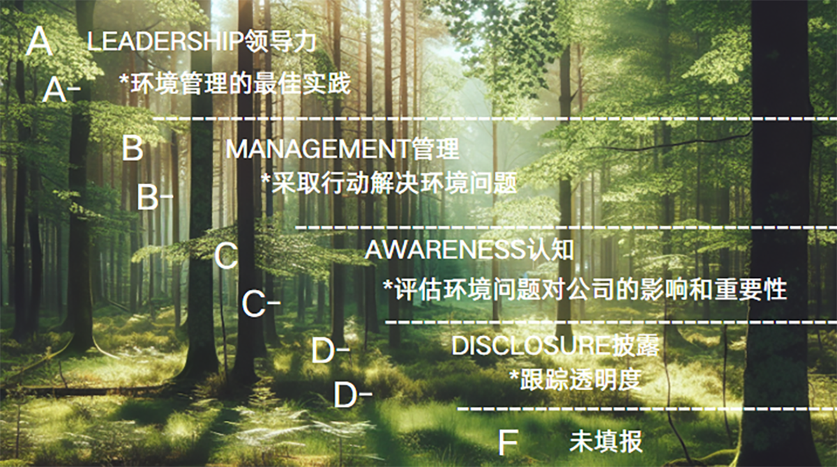 以碳减排为笔，绘就绿色新篇：欧博ABG官网股份获 CDP 双领域治理级最高档级认证